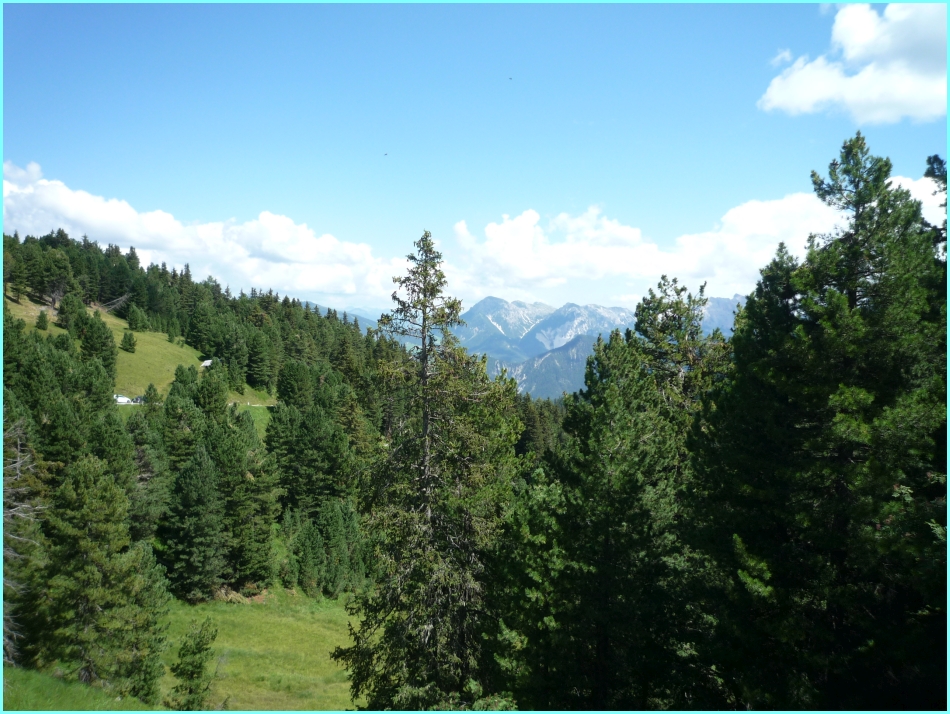 Aussicht Wuerzjoch.jpg
